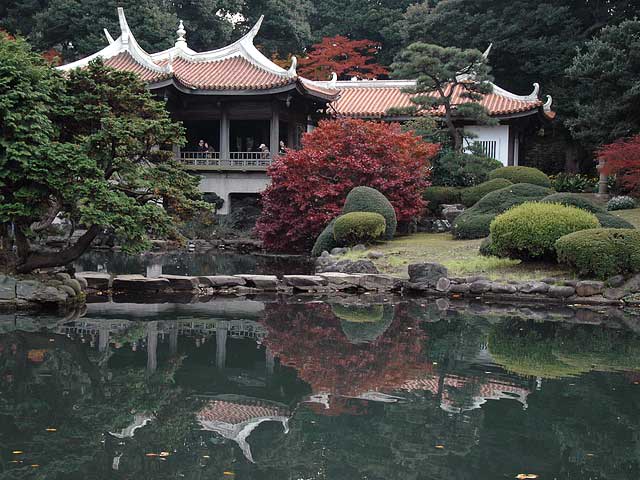 No6