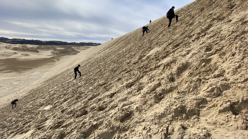 f:id:aryzae:20200130014047j:plain f:id:aryzae:20200130014047j:plain