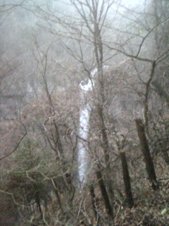 f:id:as1982_11:20071117164815j:image