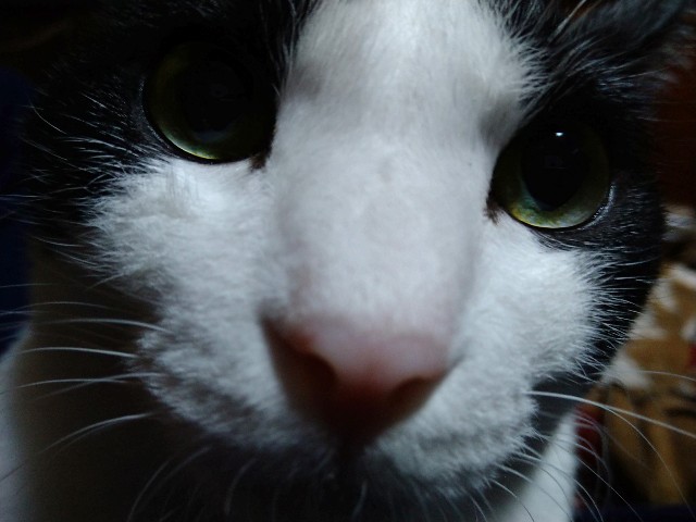 f:id:as310mp:20220103131818j:plain