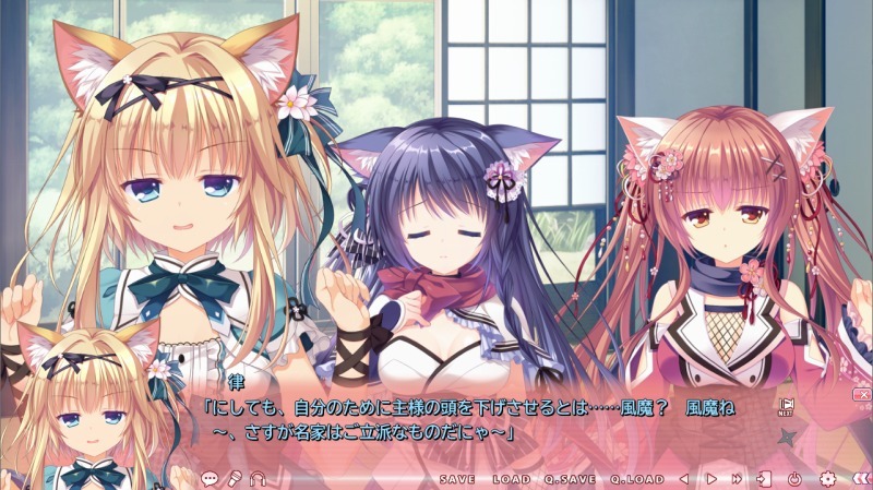 猫忍2