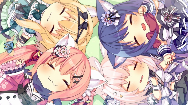 猫忍5