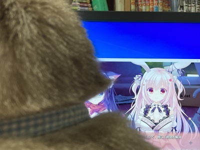 猫と猫忍