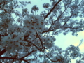 20100413023736