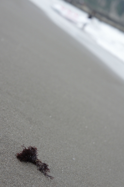 f:id:asa-i:20130824220139j:image