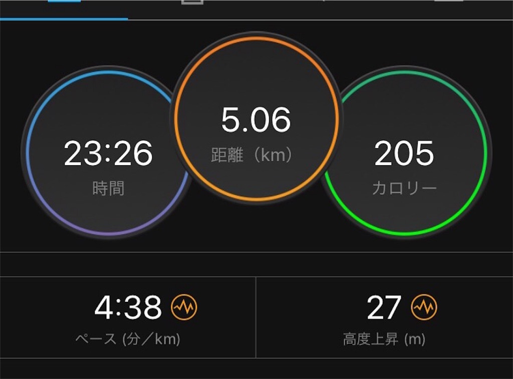 f:id:asa-run:20190402184207j:image