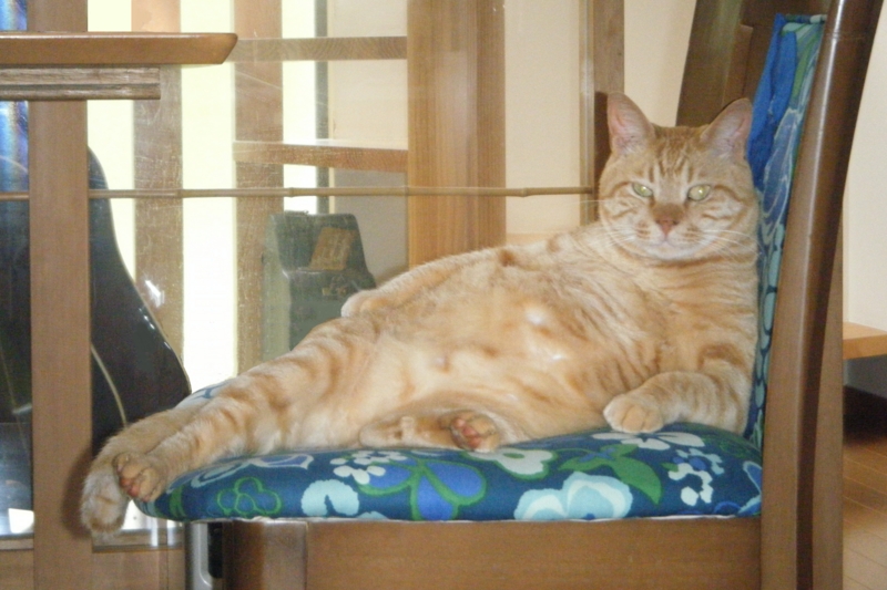f:id:asa67kin:20121111152811j:image:w360
