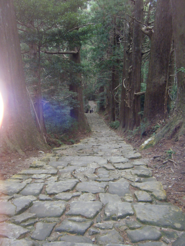 f:id:asa67kin:20130117000207j:image:w360