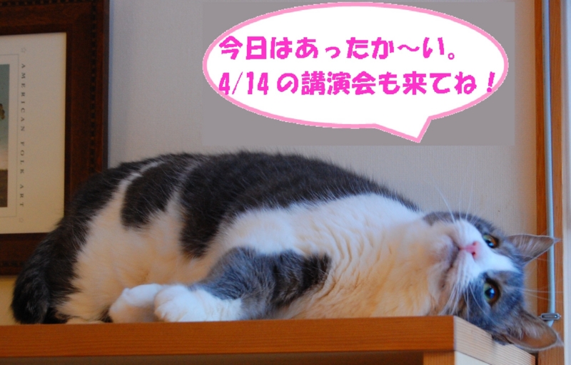 f:id:asa67kin:20130306195955j:image:w360