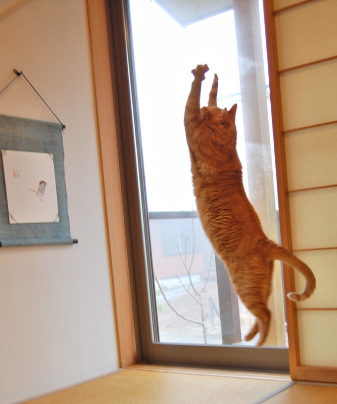 f:id:asa67kin:20130704151235j:image