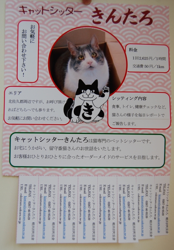 f:id:asa67kin:20130706152854j:image:w640