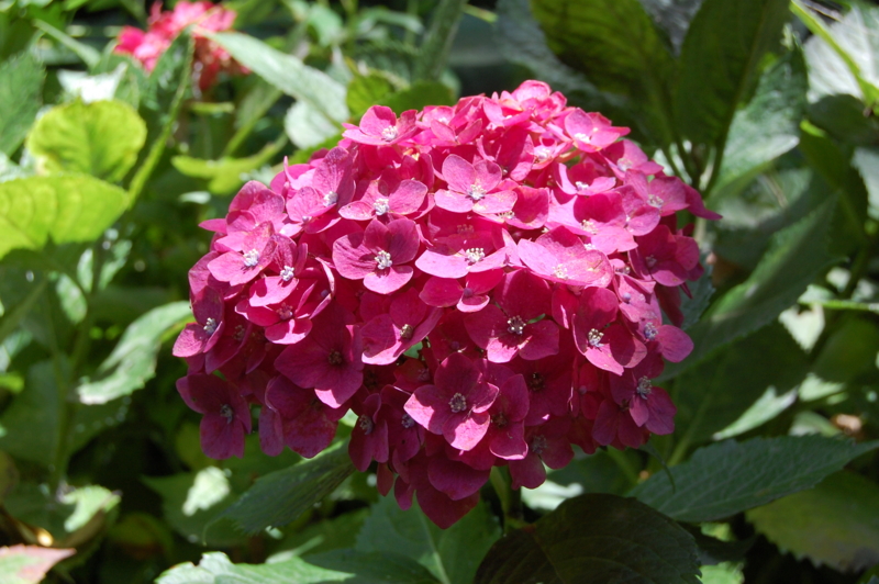 f:id:asa67kin:20130708113500j:image