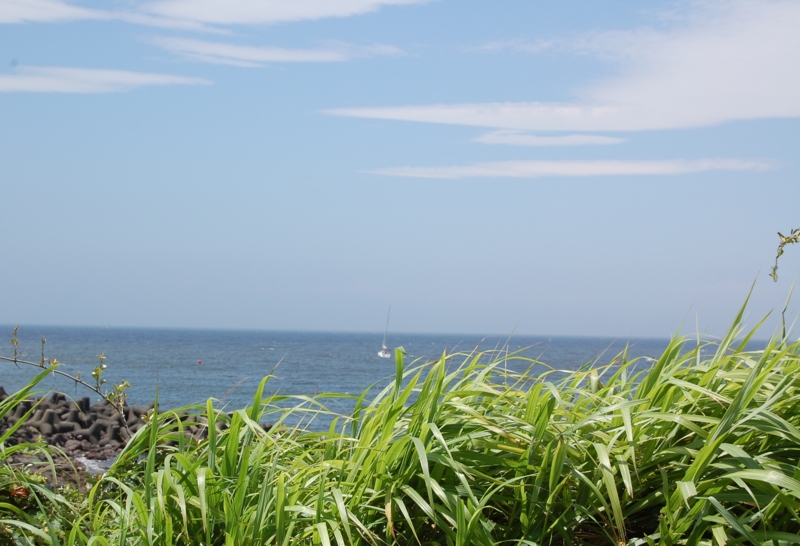 f:id:asa67kin:20130708113517j:image