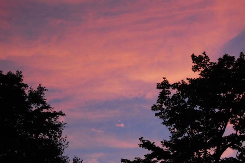 f:id:asa67kin:20130724145251j:image