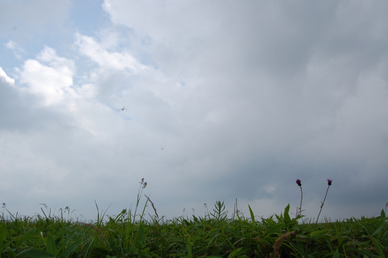 f:id:asa67kin:20130729235340j:image