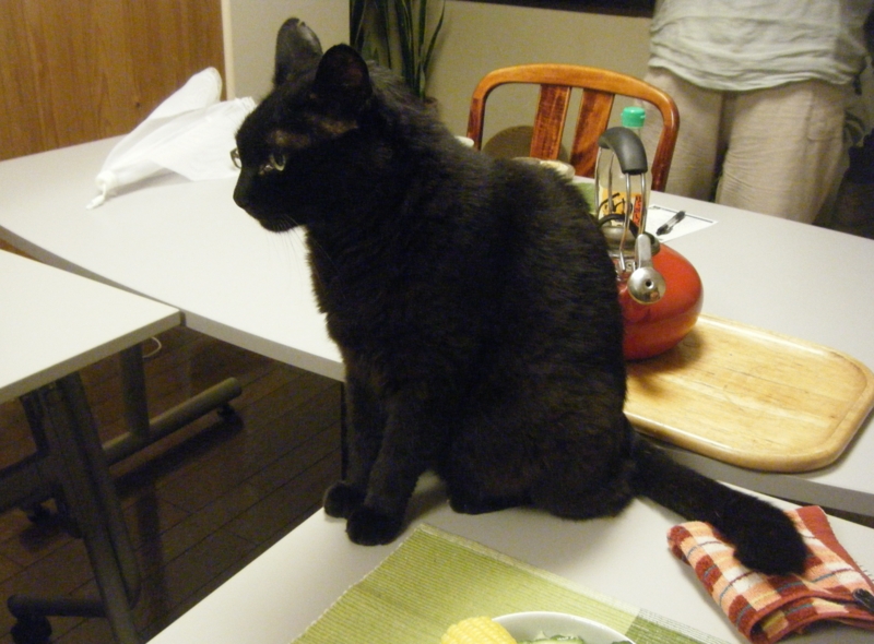 f:id:asa67kin:20130810231031j:image:w640