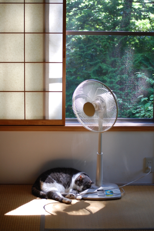 f:id:asa67kin:20130825193129j:image