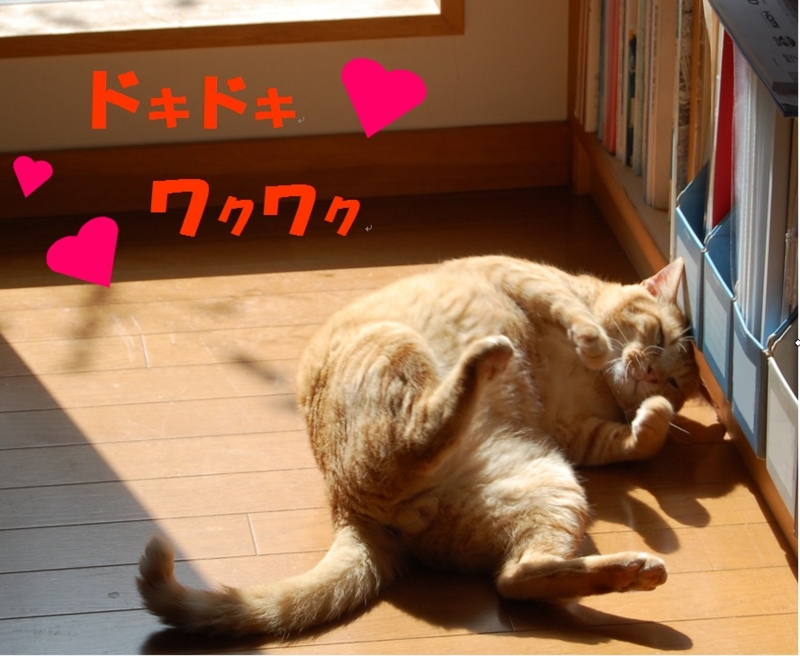 f:id:asa67kin:20131019192604j:image