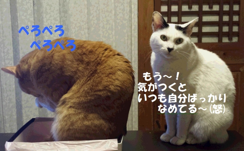 f:id:asa67kin:20140405004824j:image:w640