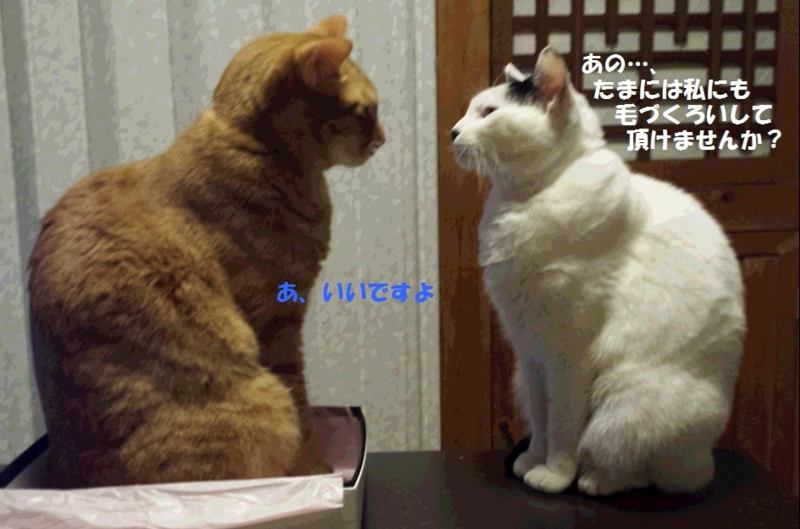 f:id:asa67kin:20140405004827j:image:w640