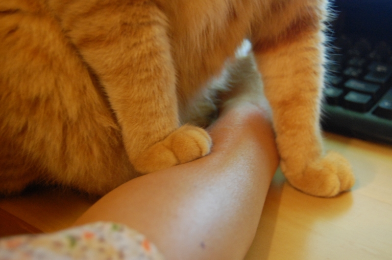 f:id:asa67kin:20140719224433j:image:w640