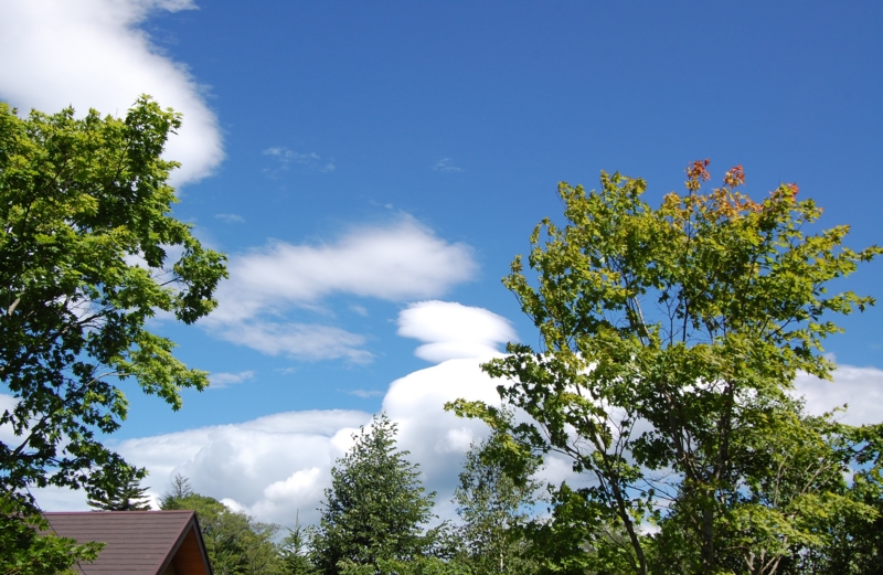 f:id:asa67kin:20140806014901j:image:w640 f:id:asa67kin:20140806014901j:image:w640