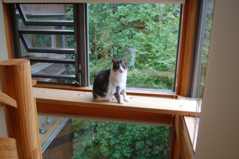 f:id:asa67kin:20140808210402j:image:w640