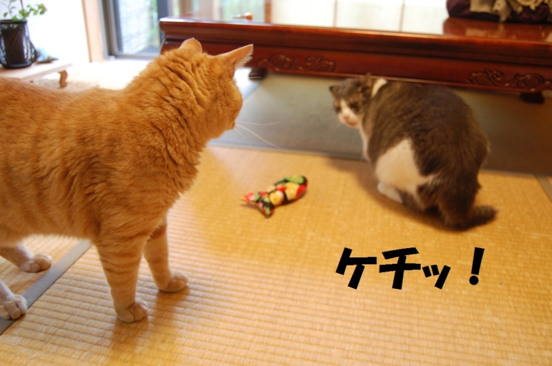 f:id:asa67kin:20140813005011j:image:w640