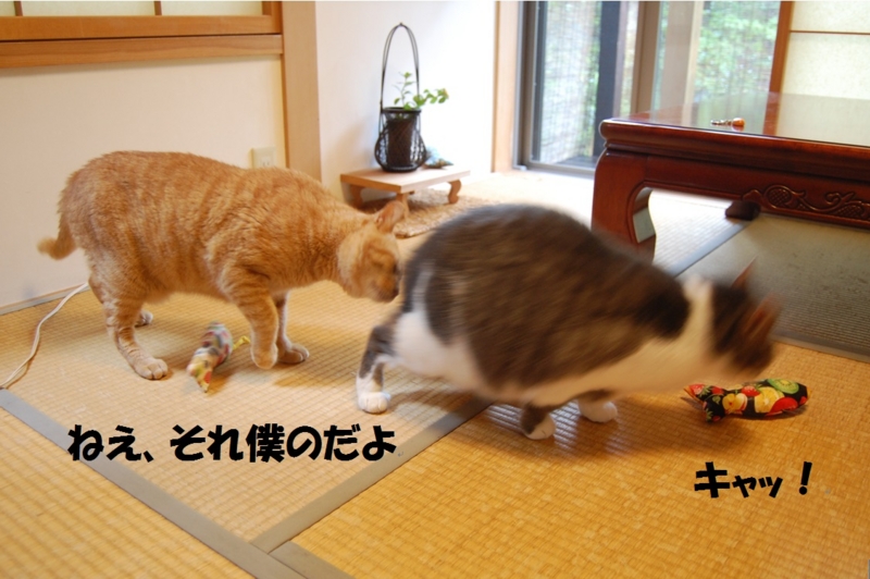 f:id:asa67kin:20140813005013j:image:w640