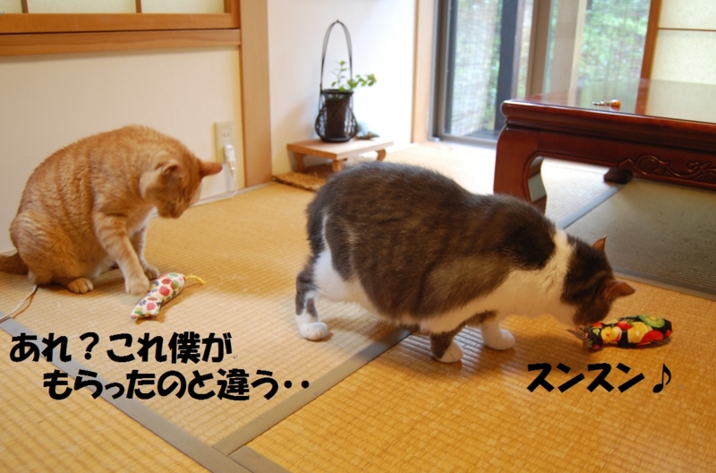 f:id:asa67kin:20140813005016j:image:w640