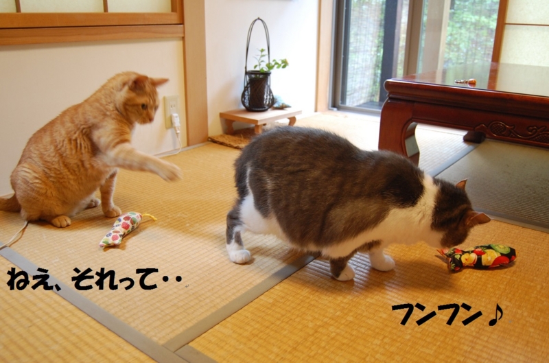 f:id:asa67kin:20140813005704j:image:w640