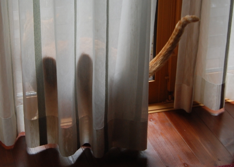 f:id:asa67kin:20140816003854j:image:w640 f:id:asa67kin:20140816003854j:image:w640