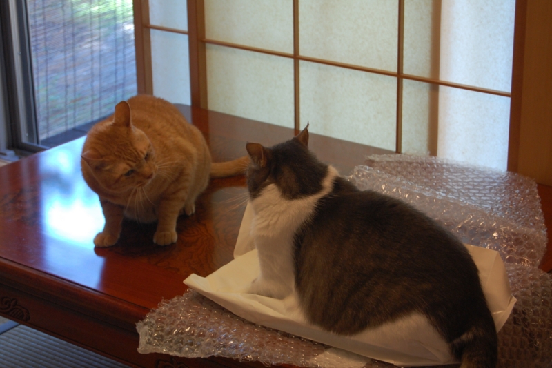 f:id:asa67kin:20140827224710j:image:w640 f:id:asa67kin:20140827224710j:image:w640
