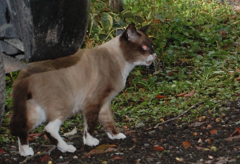 f:id:asa67kin:20141014225428j:image:w640