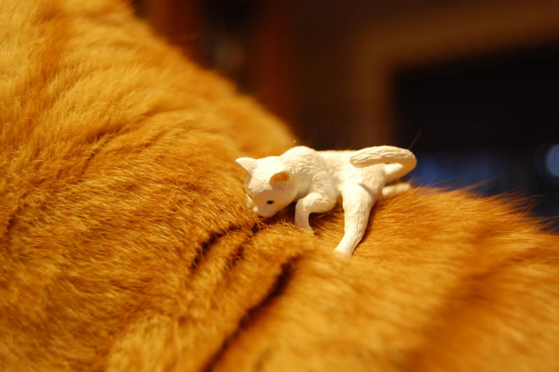 f:id:asa67kin:20141103235401j:image:w640