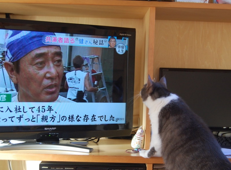 f:id:asa67kin:20141121003640j:image:w640 f:id:asa67kin:20141121003640j:image:w640