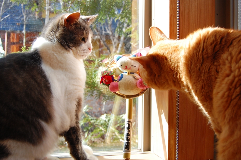f:id:asa67kin:20141129132934j:image:w640