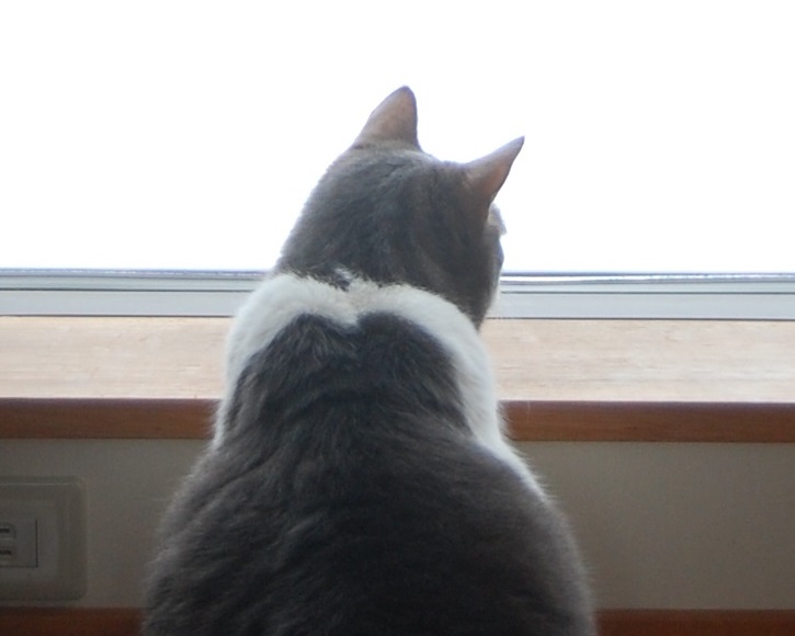 f:id:asa67kin:20150308110336j:image:w640