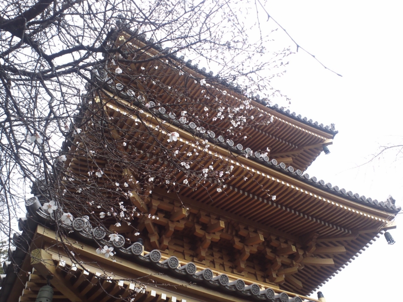 f:id:asa67kin:20150323084040j:image:w640