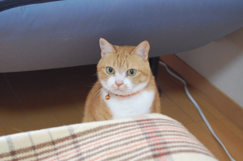 f:id:asa67kin:20150326094639j:image:w640