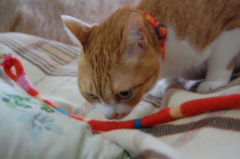 f:id:asa67kin:20150326094641j:image:w640