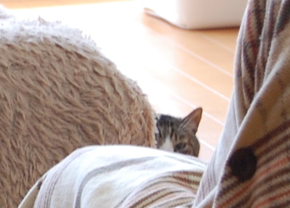 f:id:asa67kin:20150326094642j:image:w640