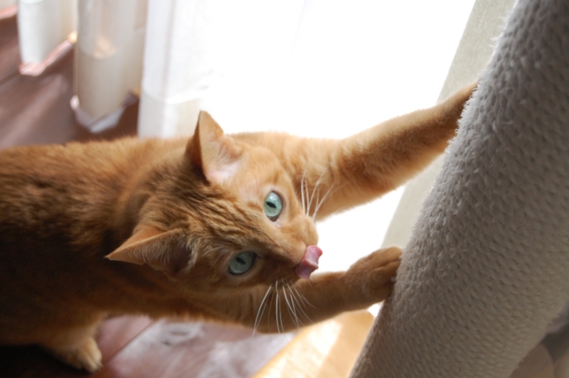 f:id:asa67kin:20150509181836j:image:w640