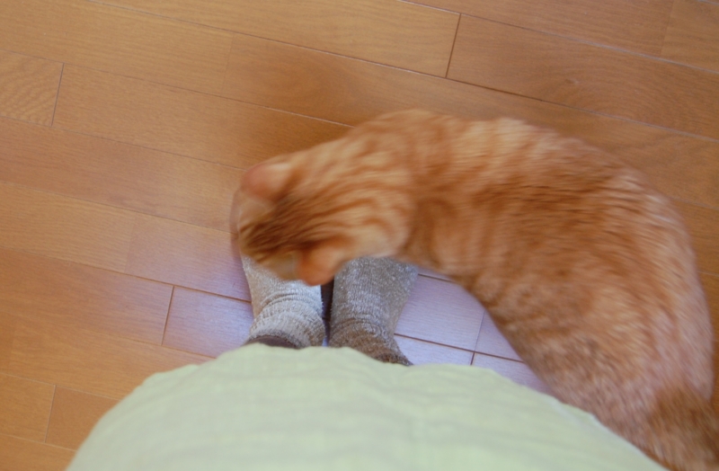 f:id:asa67kin:20150514102610j:image:w640