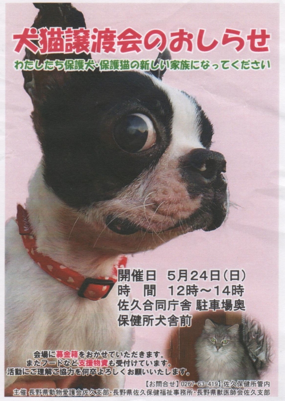 f:id:asa67kin:20150522104758j:image:w640