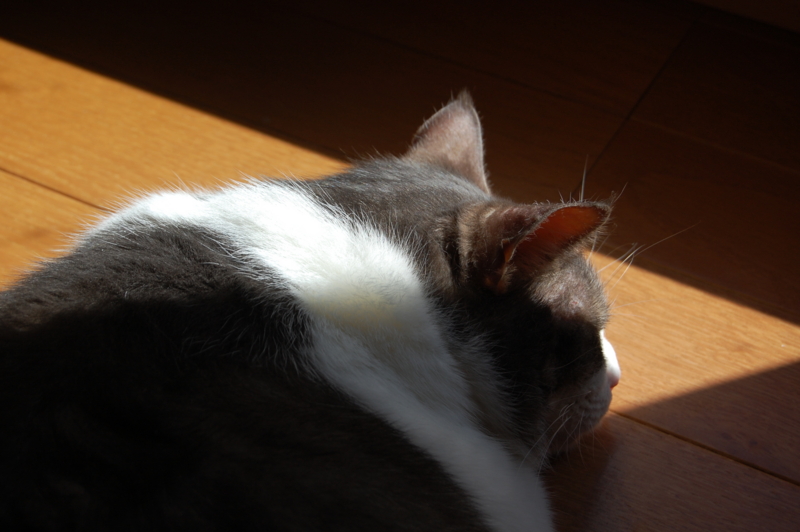 f:id:asa67kin:20151017001323j:image:w640