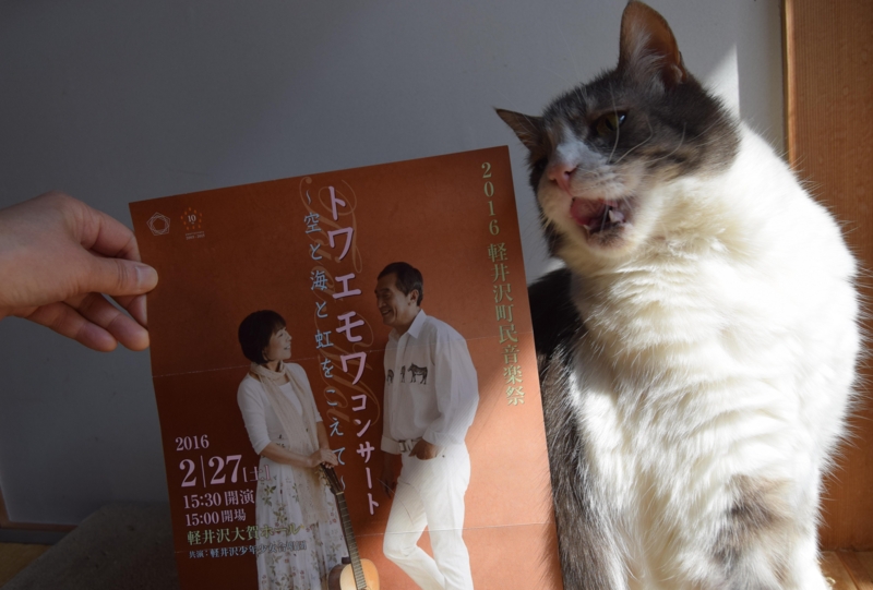 f:id:asa67kin:20160301120554j:image:w640