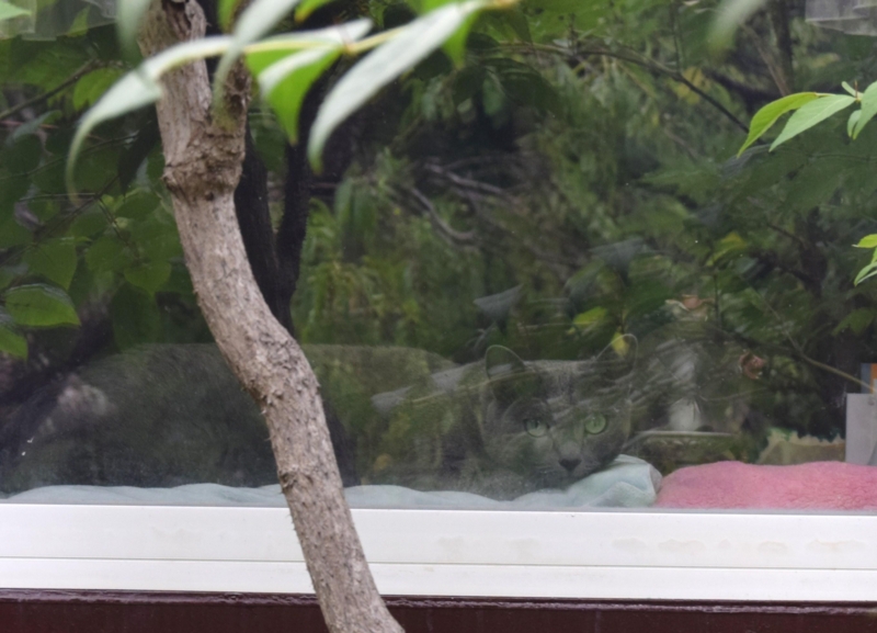 f:id:asa67kin:20160719170104j:image:w640