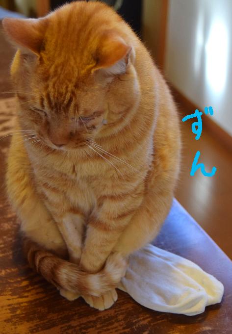 f:id:asa67kin:20170128182714j:image:w480