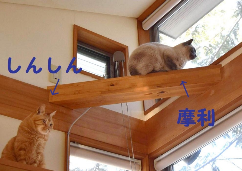 f:id:asa67kin:20170421231412j:image:w640